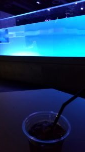 伊藤工業所,AOAO,ペンギンを見ながらコーヒー,