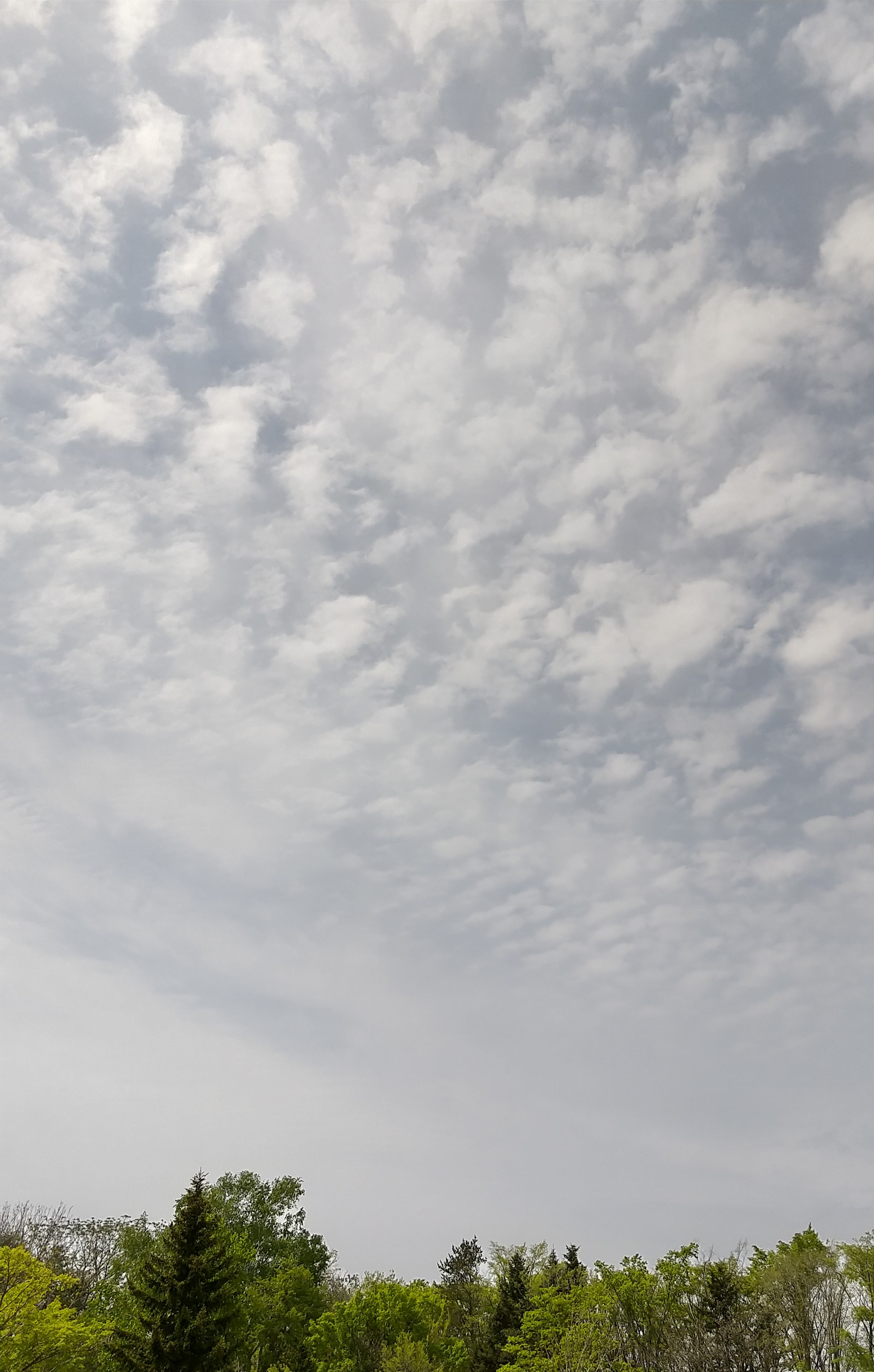 伊藤工業所,駐車場から見上げた空,出かけたい,