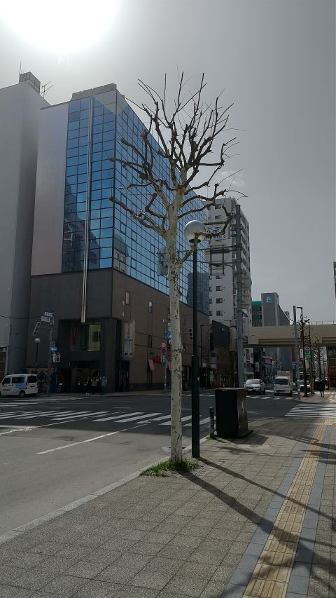 伊藤工業,トークイベント,大通り,