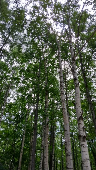 伊藤工業所,嫌な事吹き飛びそうです,